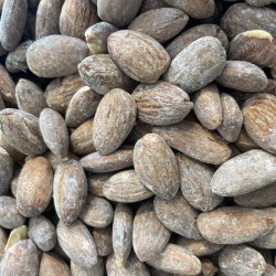 Roasted almond 