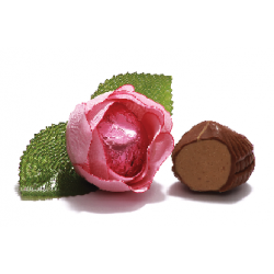 Pink Rose Choco-Gianduja And Hazelnut Filled Milk Chocolate