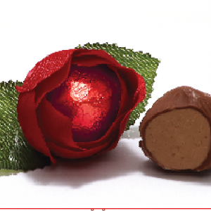 Red Rose Choco-Gianduja And Hazelnut Filled Milk Chocolate